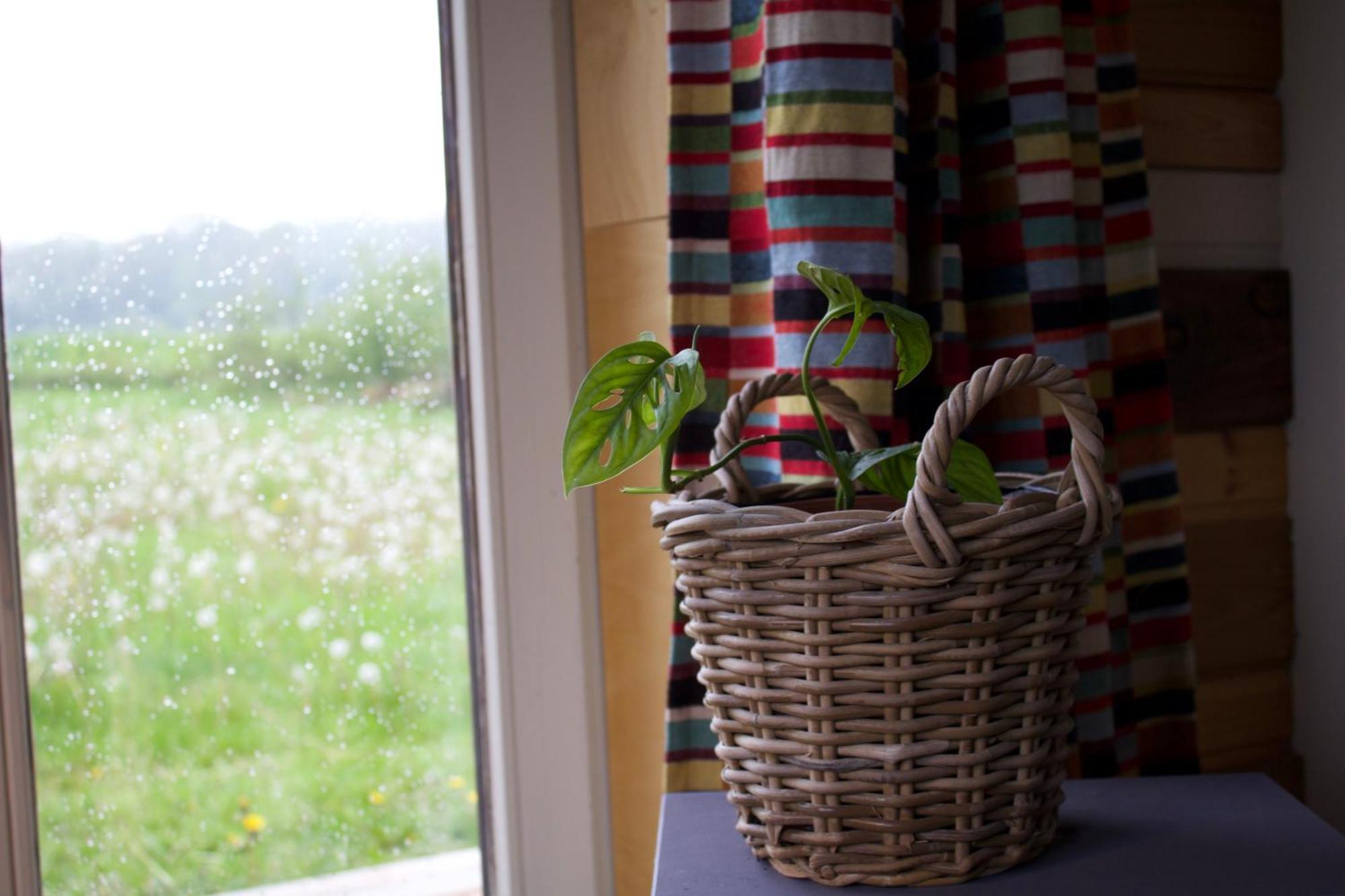 Tiny House Les Jours Heureux Sejour Nature Pres De Dinant Et Des Lacs De L Eau D Heure Villers-le-Gambon Luaran gambar